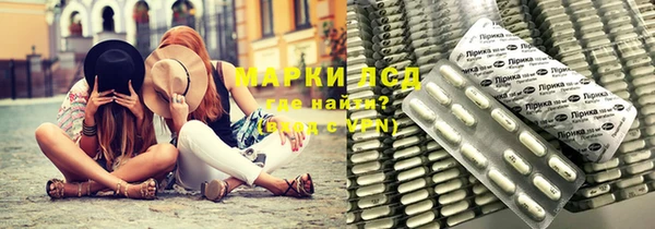 прущие крисы Бородино