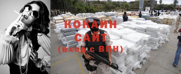 прущие крисы Бородино