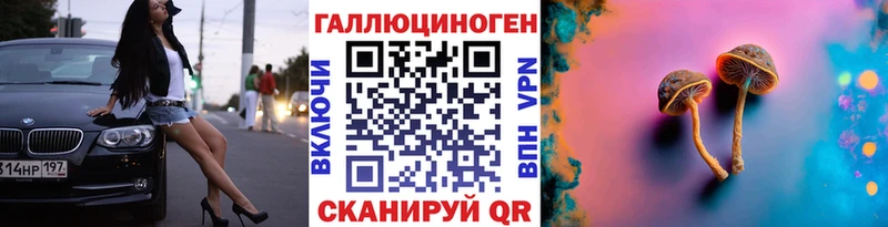 что такое   Мурино  Псилоцибиновые грибы MAGIC MUSHROOMS 